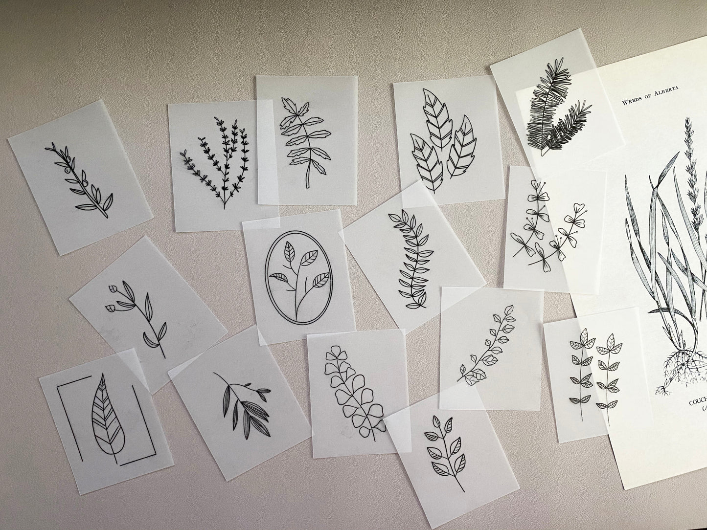 Vintage botanical vellum paper pack