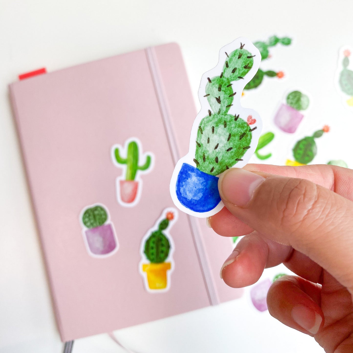 Cactus Vinyl Sticker Set