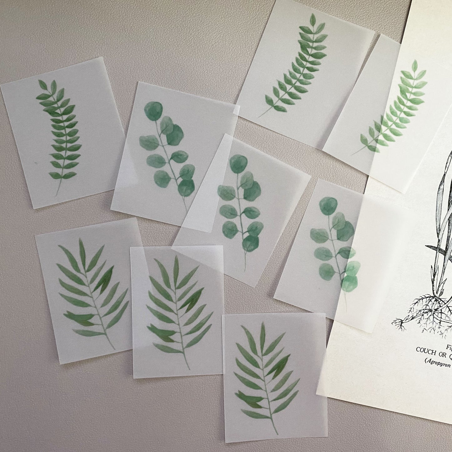 Watercolor leaves vellum paper pack