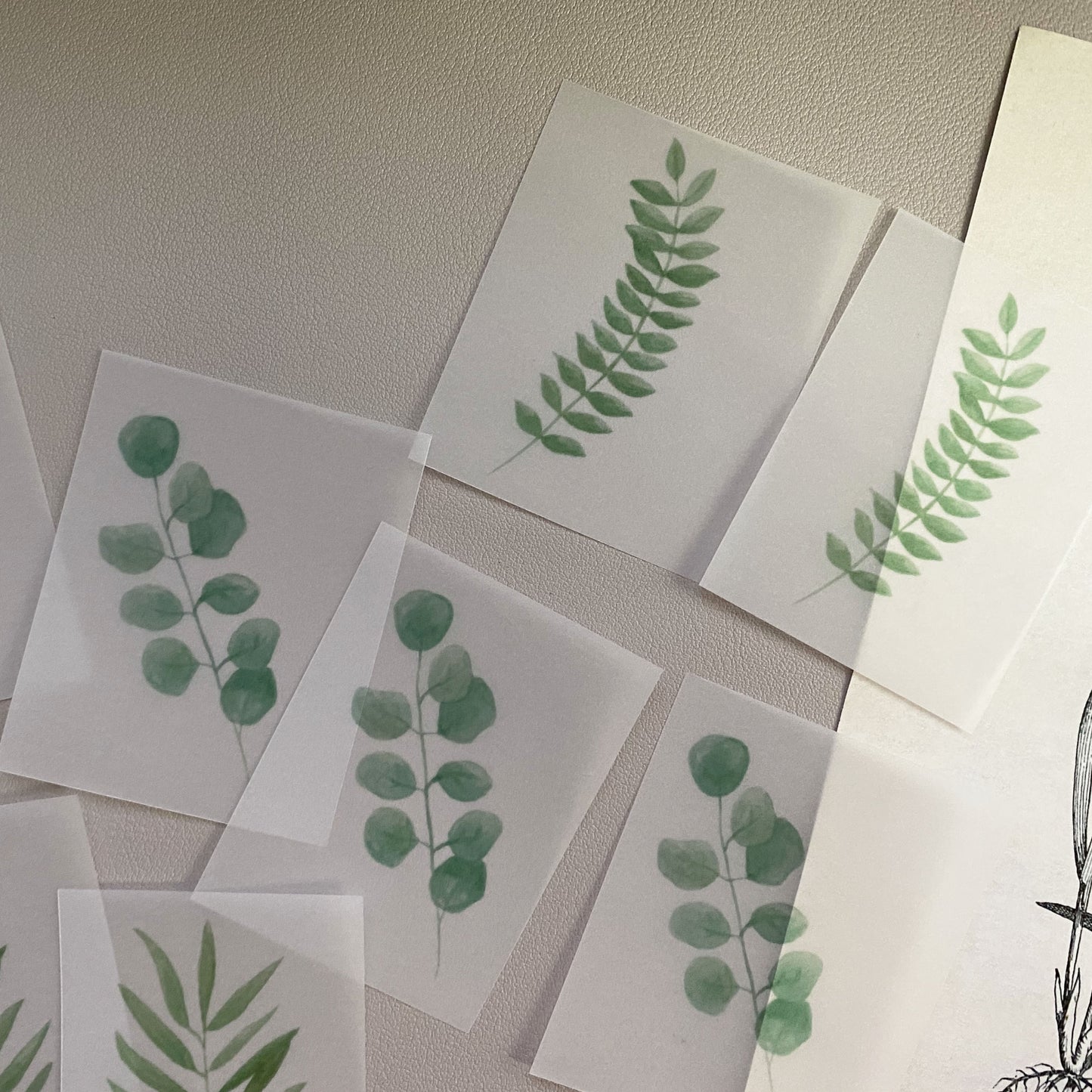 Watercolor leaves vellum paper pack